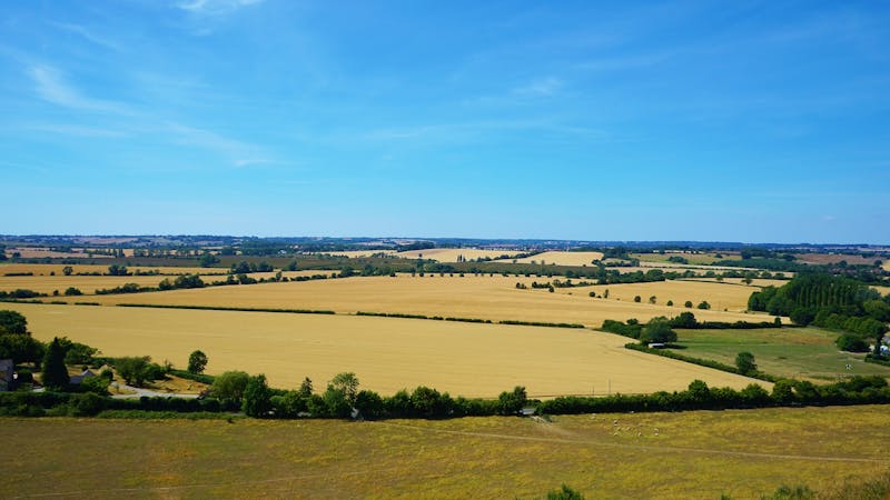 Green fields on our Somerset farm